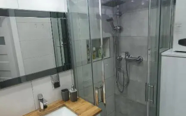 Apartament Park Saski