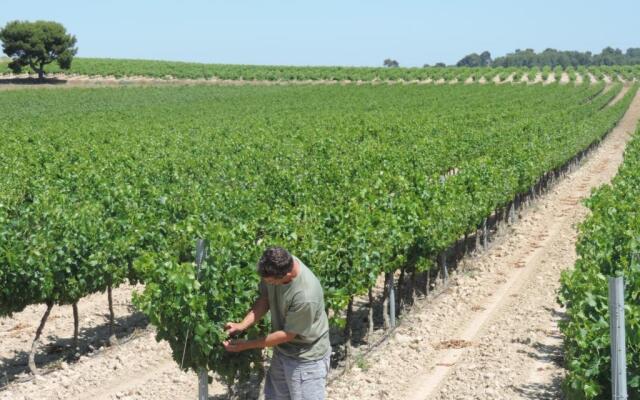 Gîtes Le "Val-Léa"