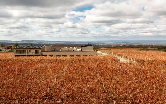 Auberge du Vin, a Tribute Portfolio Hotel, Tupungato