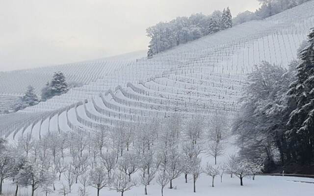 Fantastic Apartment in Oberkirch