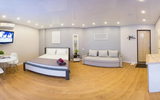 Studio near metro Pushkinska, Universytet - Mayakovskogo str. 5-3