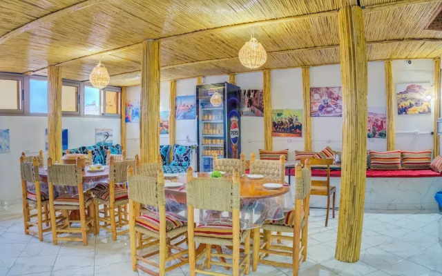 Dinosaur anza surf house