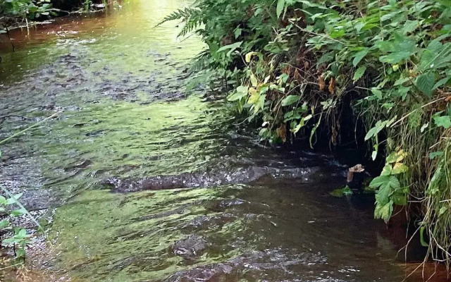 8 Person Holiday Home in Albaek-by Traum