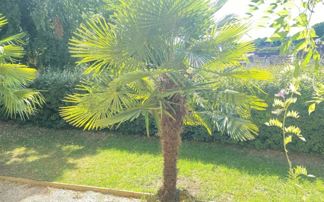 Résidence les trois jardins