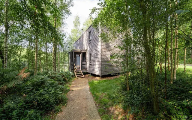 Elegant Mansion With Pools