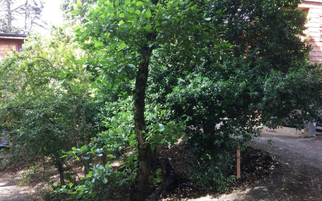 Cabanas Alma Bosque