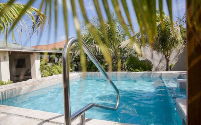 Little Jungle Apartments Aruba