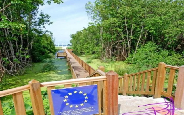 Super Studio en résidence face à la plage