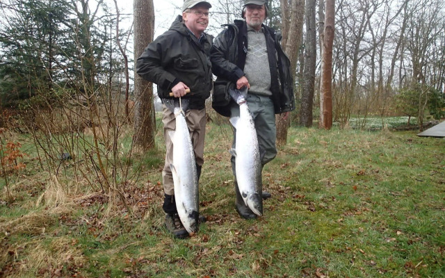 Skarrildhus Sinatur Hotel og Konference