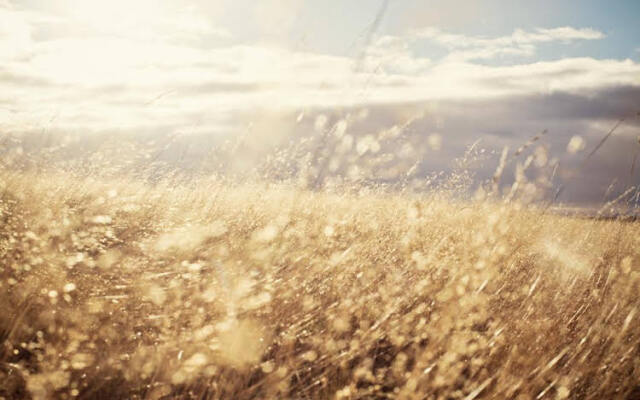 moor&mehr Bio Kurhotel Bad Kohlgrub