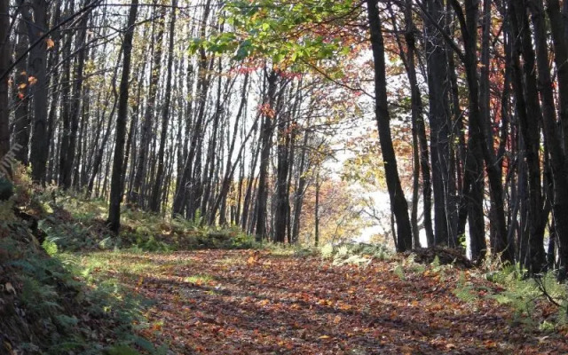 The Historic Summit Inn