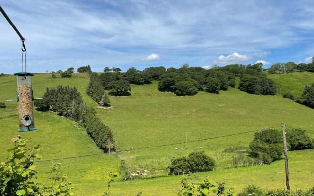 Cabin Pren , Darowen , Machynlleth