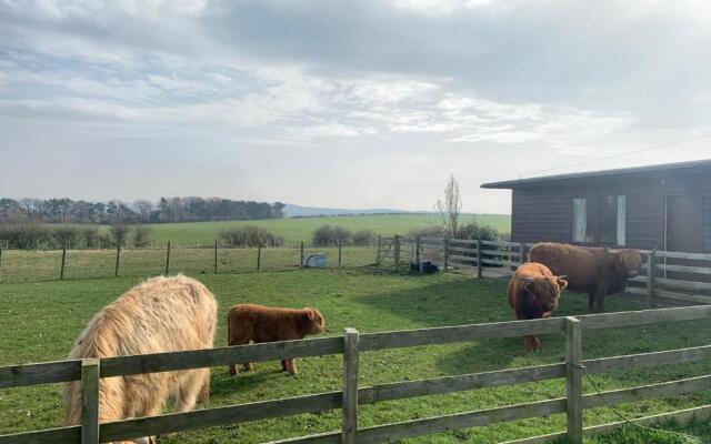 Orchard House Lodges