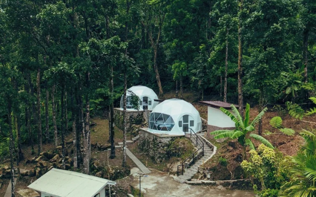 Matahom Forest Glamping Tent 2