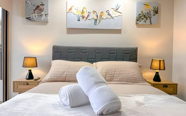 AS - Origen Focus 02