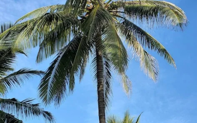 Silver Palm Spa and Resort