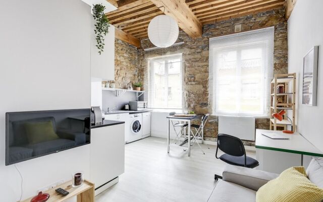 Renovated Studio In Croix Rousse