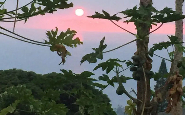 Kona Hawaii Guesthouse