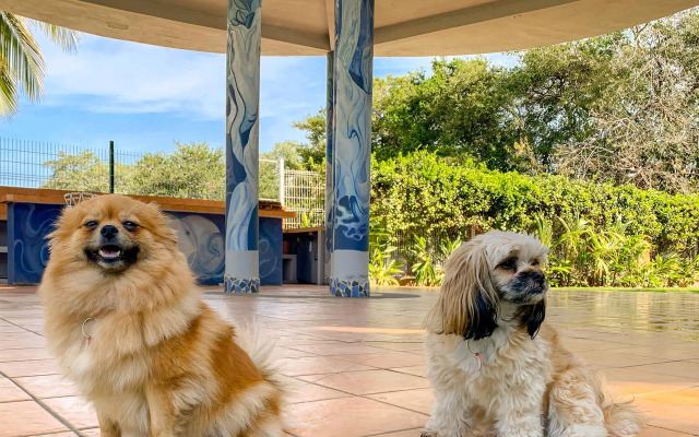 Puerto de Luna Pet Friendly & Family Suites Hotel