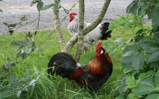 Sov Godt i Arnborg Bed & Breakfast