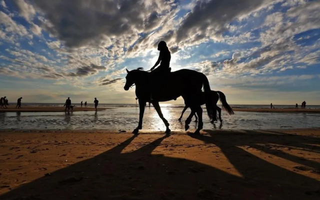 Hotel La Rosa Amsterdam Beach