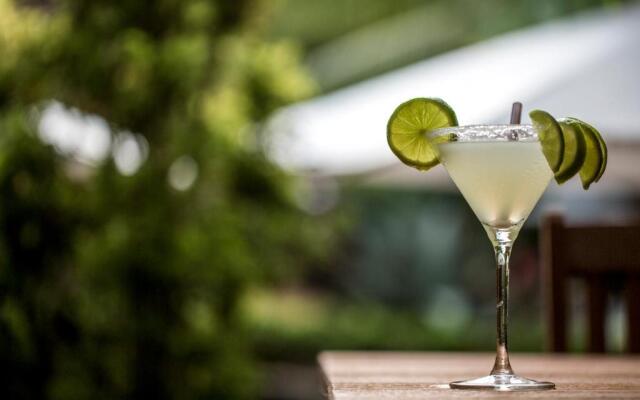 Sombra e Agua Fresca Floresta