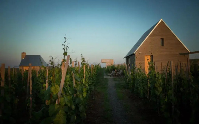 Almagyar Érseki Szőlőbirtok (AÉS)