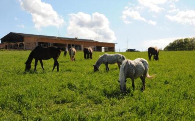 Freizeit Reitstall Schammelsdorf