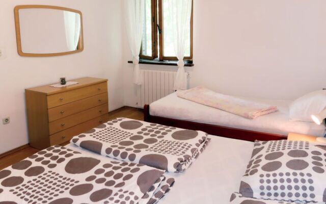 Mirjana (LBN312) 22664