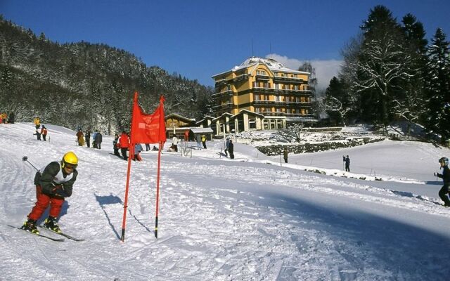 Hotel Berghof Amaranth