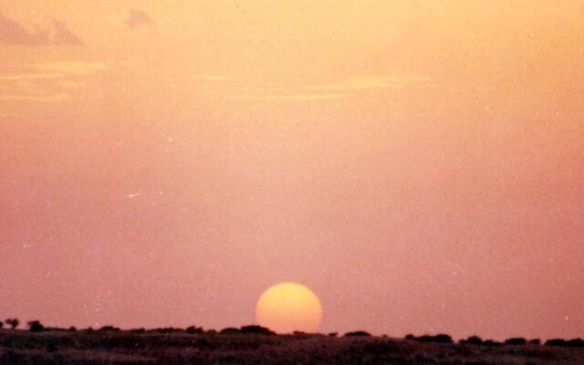Payal Safari Camp