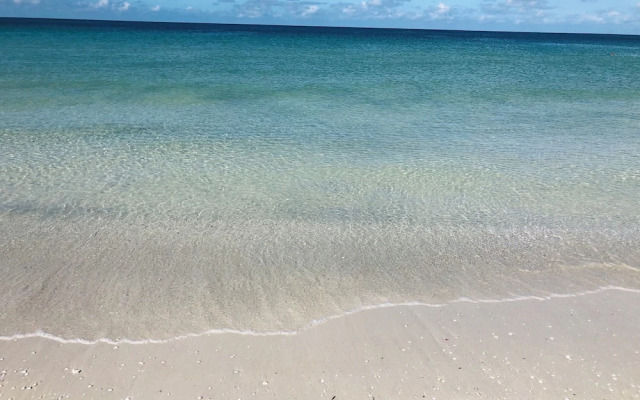 Tampa Heights Bungalow