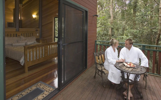 Springbrook Lyrebird Retreat