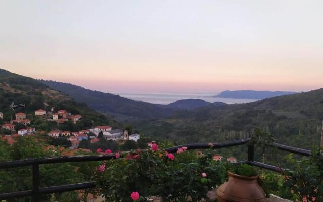 Oikia Panorama