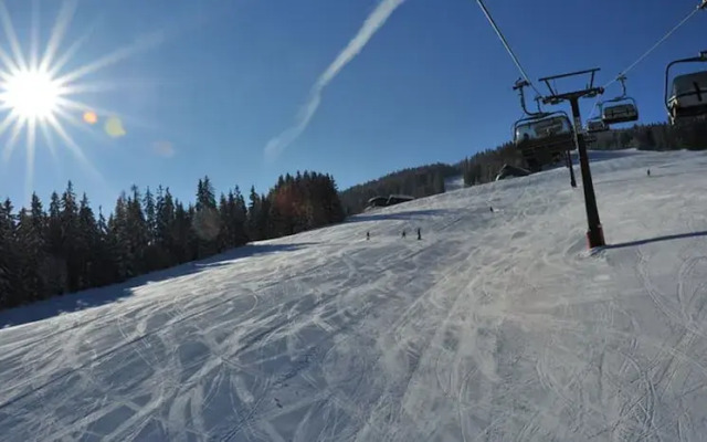 Nice Apartment With Dishwasher, Near the Ski Slopes