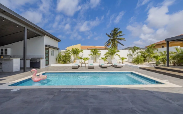 Charming Home With Big Outdoors Pool in Noord