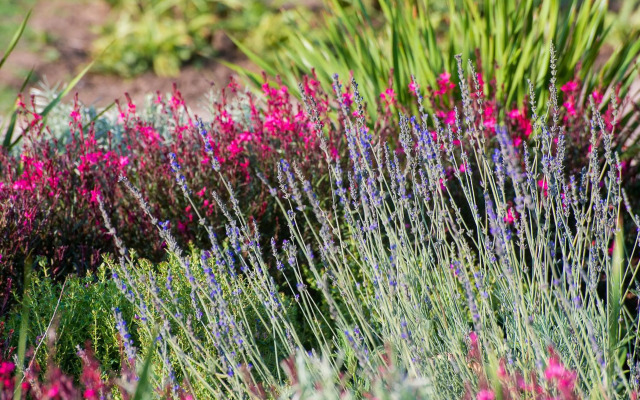 Stonehaven Lodge and Conference Center