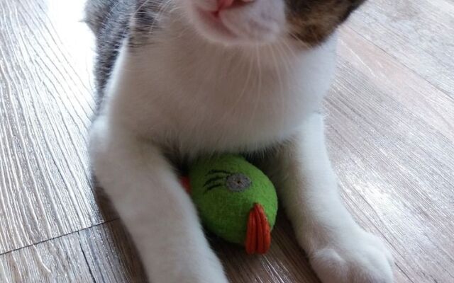 Winkelwerkstatt Hotel