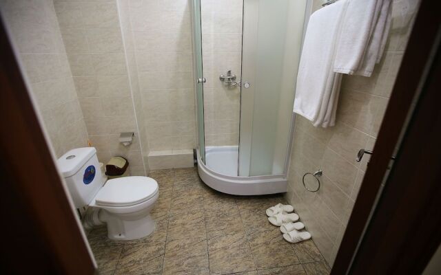 Hotel ALTAI business hotel