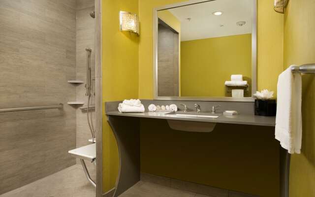 Hilton Garden Inn College Station