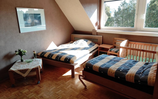 Hedwig Apartment im Dachgeschoss