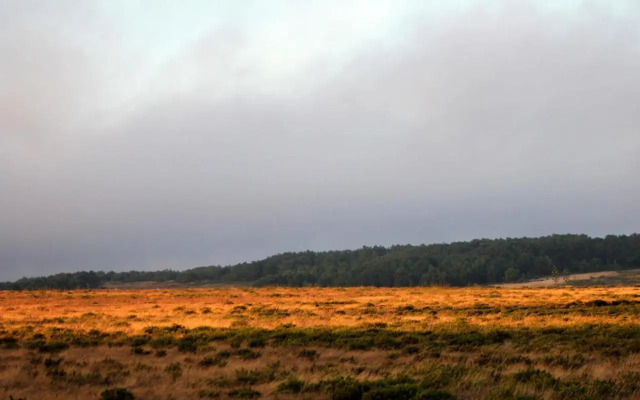 Monte De Santo António