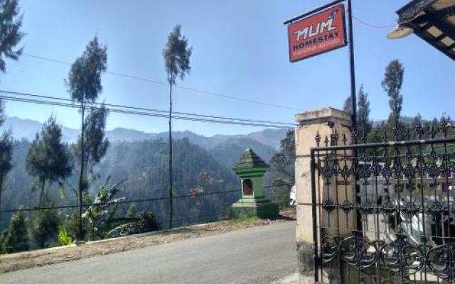 Saputra View Bromo Homestay