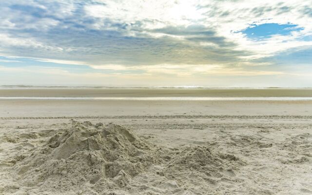 Turtle Paradise by Vtrips