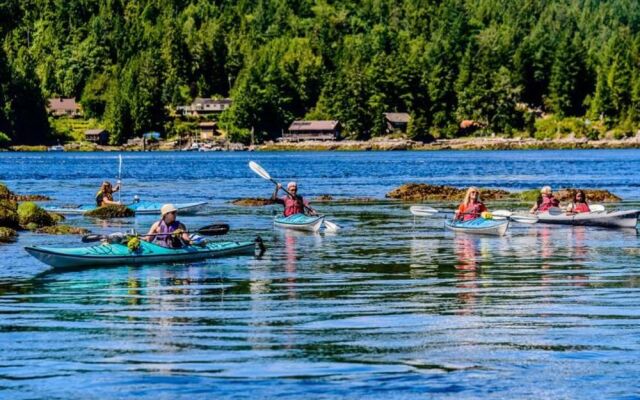 West Coast Wilderness Lodge