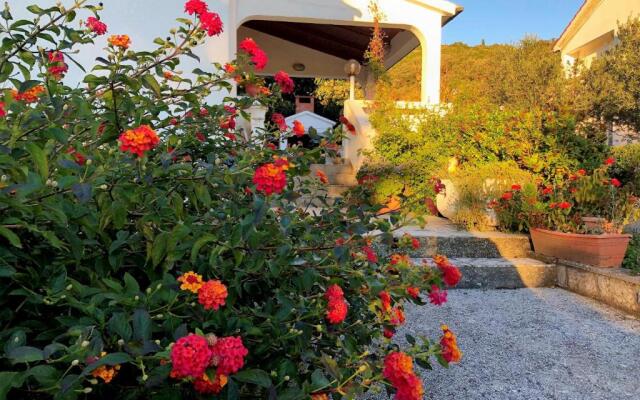 House Draga Accommodation