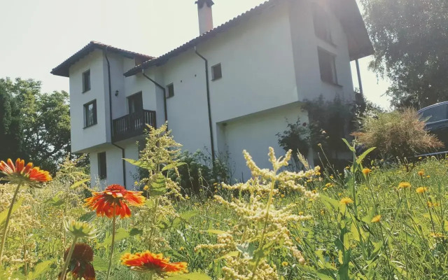 Guest House Ela