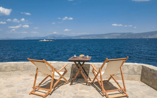 Lotus Sweet Home Hydra