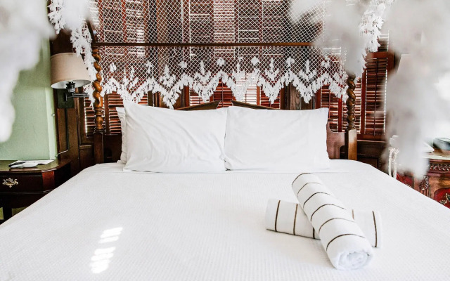 Amsterdam's Curry Mansion Inn