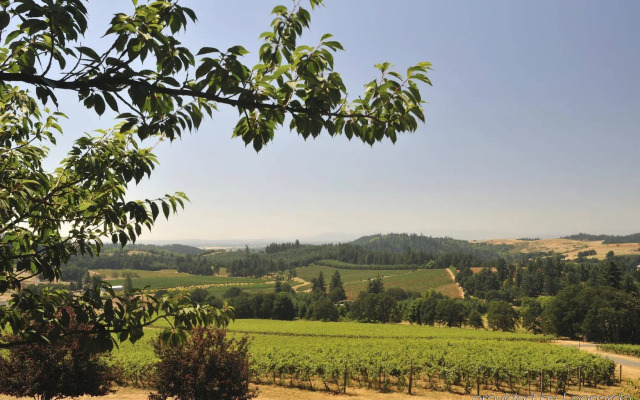 Courtyard by Marriott Portland Southeast/Clackamas